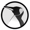 Active Directory Exploitation