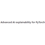 Advanced AI explainability for PyTorch