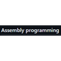 Assembly programming