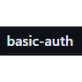 basic-auth