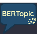 BERTopic