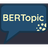 BERTopic