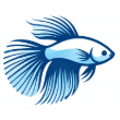 BettaFish