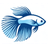 BettaFish