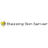 Blessing Skin Server
