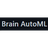 Brain AutoML