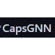 CapsGNN