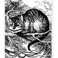 Cheshire