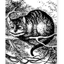 Cheshire