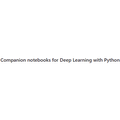 Companion notebooks for Deep Learning