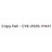 Copy Fail - CVE-2026-31431