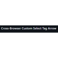 Cross-Browser Custom Select Tag Arrow