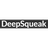 DeepSqueak
