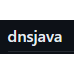 dnsjava