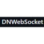 DNWebSocket