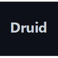 Druid