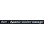 dynamic window manager