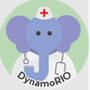 DynamoRIO