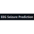 EEG Seizure Prediction