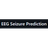 EEG Seizure Prediction