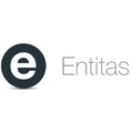 Entitas Game Engine