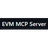 EVM MCP Server