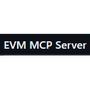 EVM MCP Server