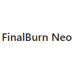 FinalBurn Neo
