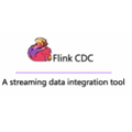 Flink CDC