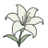 Floral Notepaper