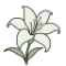Floral Notepaper