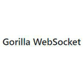 Gorilla WebSocket