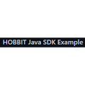 HOBBIT Java SDK Example