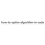 how-to-optim-algorithm-in-cuda