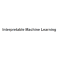 Interpretable machine learning