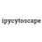 ipycytoscape