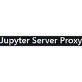 Jupyter Server Proxy