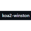 koa2-winston