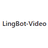 LingBot-Video