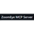MCP ZoomEye