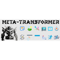 MetaTransformer