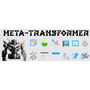 MetaTransformer