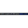 NAXSI module