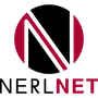 NErlNet