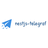 NestJS Telegraf