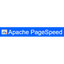 ngx_pagespeed