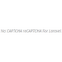 No CAPTCHA reCAPTCHA
