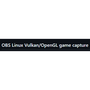 OBS Linux Vulkan/OpenGL game capture