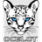 Ocelot