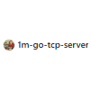 1m-go-tcp-server
